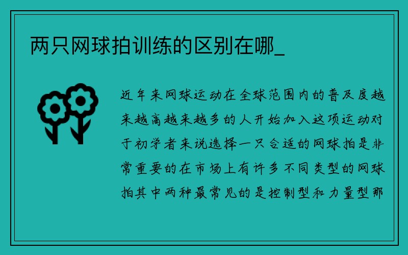 两只网球拍训练的区别在哪_