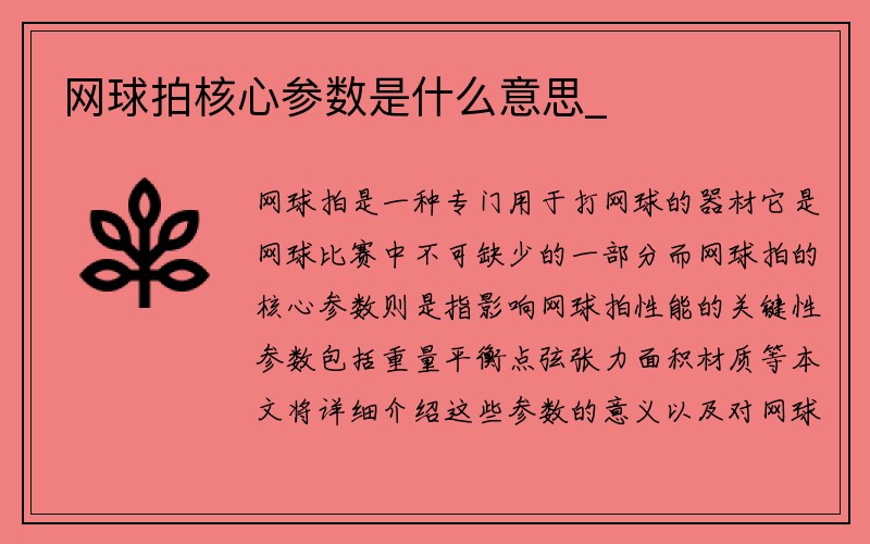 网球拍核心参数是什么意思_