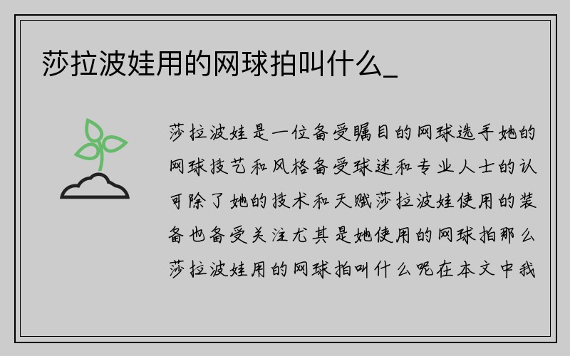 莎拉波娃用的网球拍叫什么_