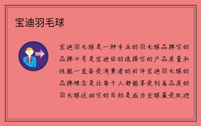 宝迪羽毛球