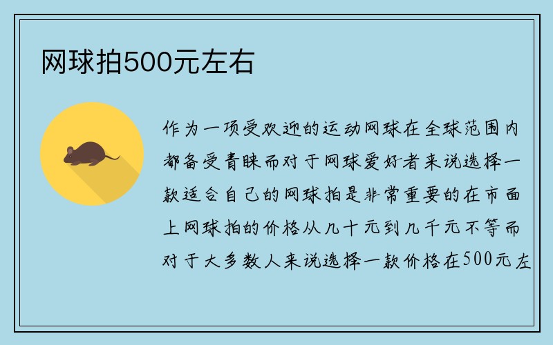 网球拍500元左右