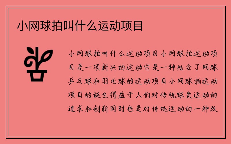 小网球拍叫什么运动项目